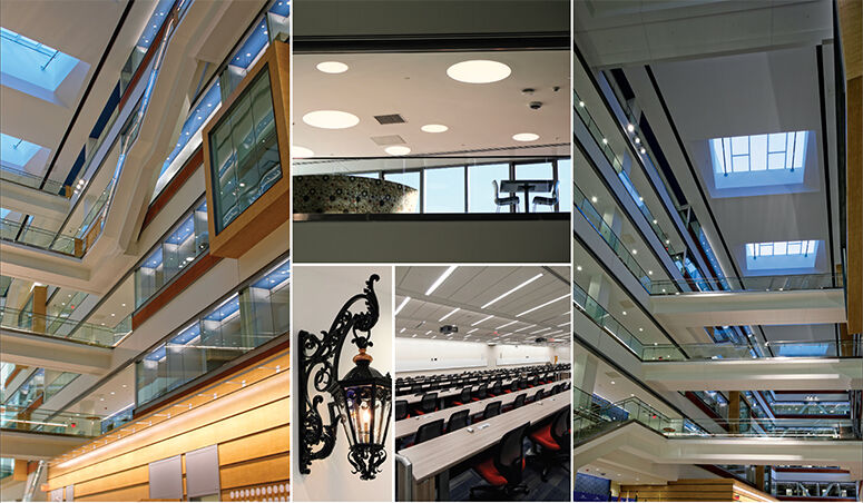 Developing / Big brand on campus